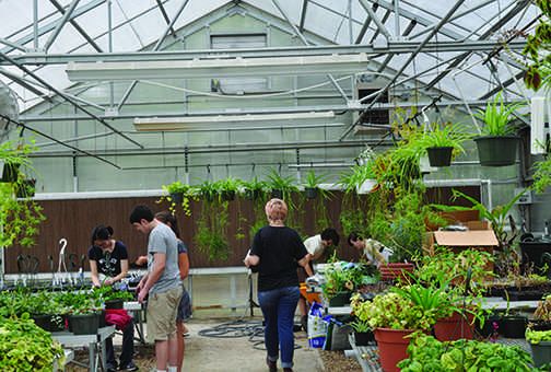 Local Students Work to Help Restore Local Ecosystem to Natural State