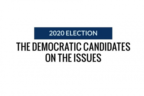 2020 Election: the Democratic candidates on the issues