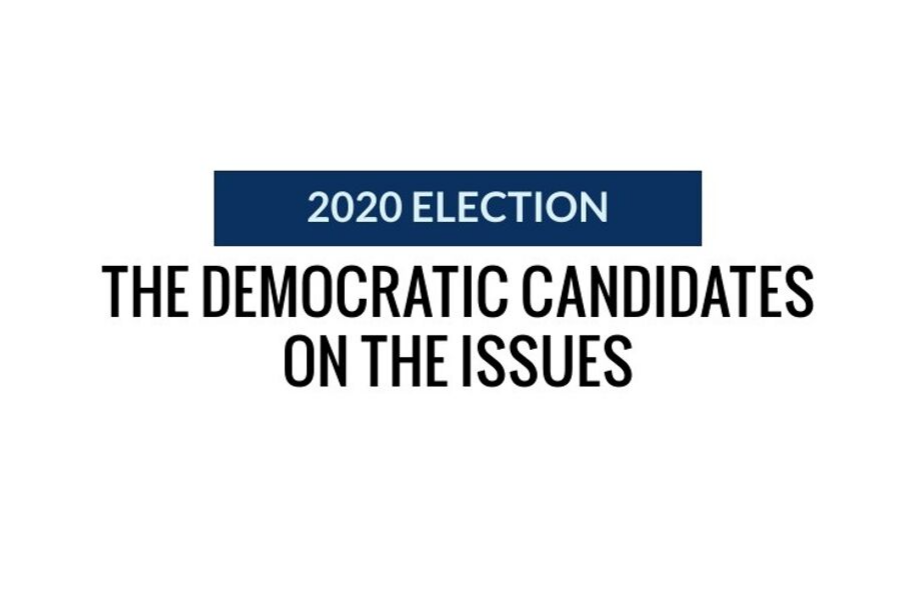 2020 Election: the Democratic candidates on the issues