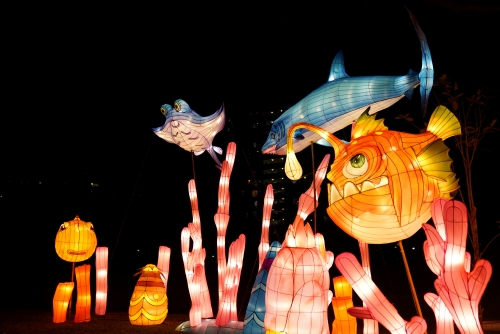 Sharing the Moonlight: The Mid-Autumn Festival