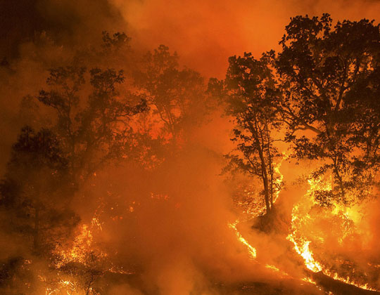 U.S. Wildfires: What You Need To Know
